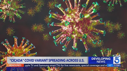 New, highly-mutated COVID-19 variant known as 'Cicada' spreading across the US