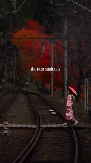 3.3K views · 258 reactions | Kyoto in fall doesn’t feel real… it...