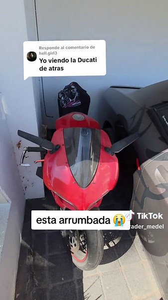 trader_medel (@trader_medel)’s videos with original sound - trader_medel