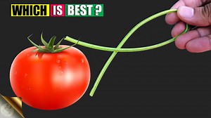 285K views · 6.3K reactions | Tomato support cage ideas and DIY...