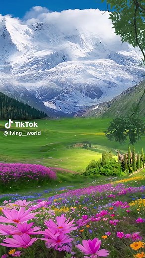 Beautiful Nature Scenery Video Compilation