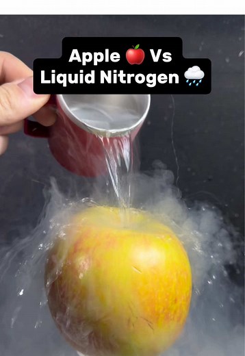 Liquid Nitrogen Science Experiment with Apples and Onions