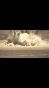 Bin and hecker | beluga | discord memes