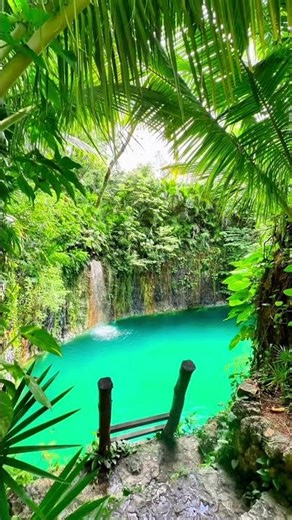 Here’s one thing not to miss on your Mexico trip: swimming in a cenote. 🌊👇