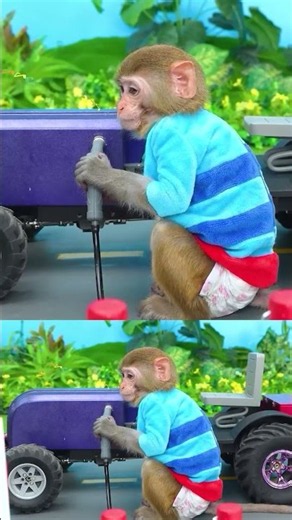 Monkey Baby #short #monkey #babymonkey #kidsvideo #nurseryrhymes