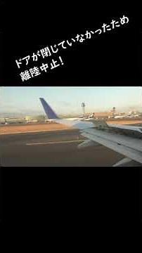 ANA 急遽離陸中止