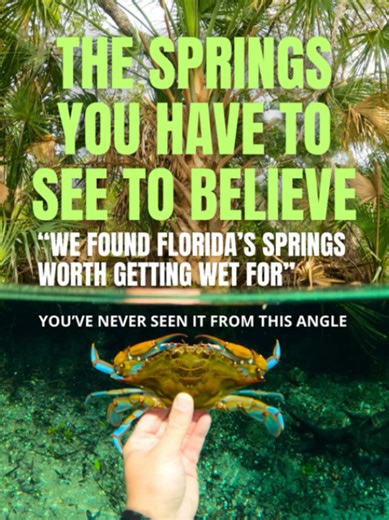 💦🌿 Save this for your next Florida road trip. 11 Florida natural springs to add to your bucket list - with the best time to visit, what to do, fees, and our ranking: 1️⃣ Silver Glen Springs - 10/10 for exeptional water ✨ Best time: weekdays winter for possible manatees 💦 Experience: swimming, snorkeling, kayaking 🚫 No scuba diving 🎟️ Fee: around $14.50/person, check current rate 2️⃣ Salt Springs - 8/10 best for beginner divers ✨ Best time: spring/fall for fewer crowds 💦 Experience: swimmin