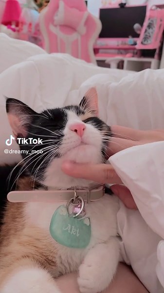 No tiene que ver con mi contenido habitual, pero se me hizo bien tierna aki en este video💗