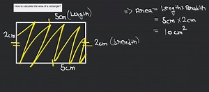How to calculate the area of a rectangle?... | Filo