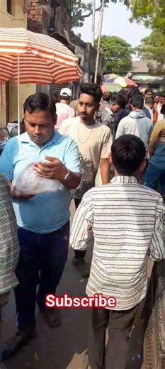 "কলকাতা" কবুতর হাট 23.11.2025 /Kolkata Pigeon Market | Galiff Street Biggest Kabootar Market Kolkata