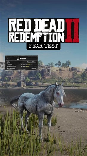 Red Dead Redemption 2 - horse nokota Fear test wolf / bear / cougar / crocodil #fyp #capcut #viral #gaming #fy