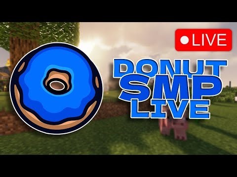 🛑Donut Smp Live┃Rating Bases┃🛑🛑🛑🛑1m per Base
