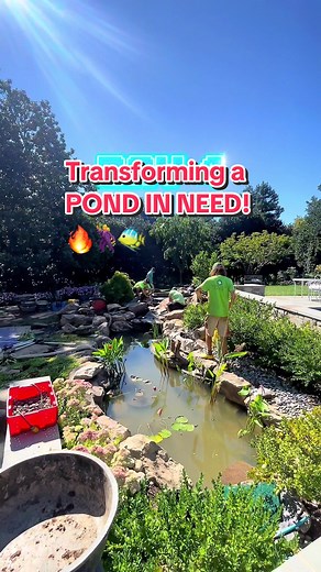 Transforming a backyard waterfall & pond with the whole squad 🕺🔥🐠🤞 #pondmen #waterfalls #fyp #foryou #transformation #premierponds #MyDulceMoment