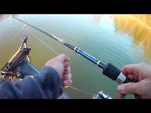 Vertical Jigging White Perch - Spoon Fishing