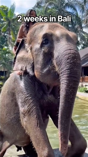 2 weeks in Bali