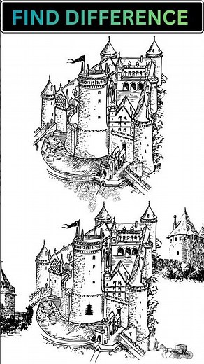 Find the Difference 👀 | Quick Brain Challenge | Spot It If You Can! #Shorts