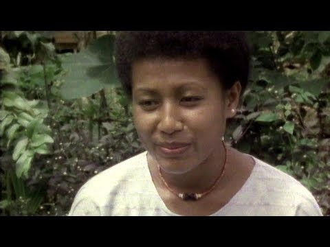 How Yams and Banana Leaves Shape Power and Wealth in the Trobriand Islands