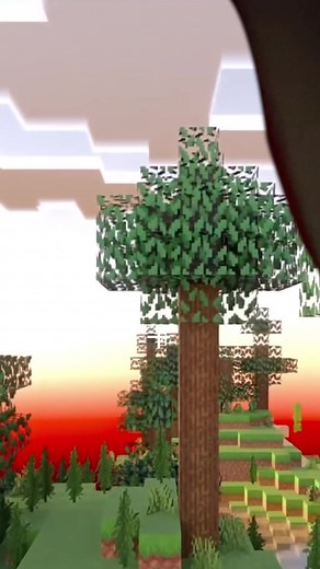 Exploring a Tent Interior and Outdoor Environment