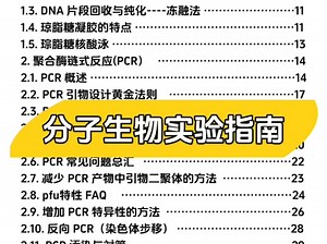分子生物学实验方法和技术指南，分享给大家