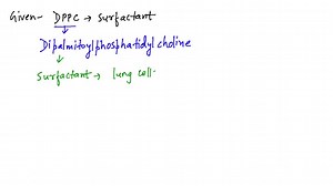 SOLVED:Dipalmitoyl phosphatidylcholine (DPPC) is a surfactant on the surface of the alveoli in the lungs. What is the nature of its fatty acid groups? In what arrangement is it likely to exist at the lung surfaces?