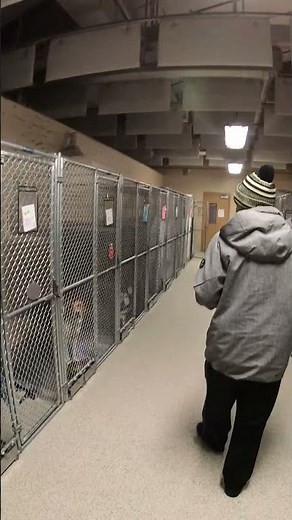 3D Printed Ultrasonic Dog Whistle