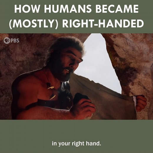 How Humans Became (Mostly) Right-Handed | Eons • PBS