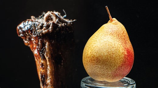 Basic objects shot in macro.