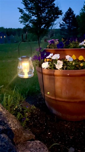 3.5M views · 44K reactions | Easy backyard upgrade! (diy solar lights) #diy #garden #hack with dollar tree solar lights! | Leon & LaCongo | Facebook