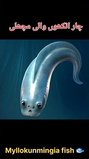 The Four-Eyed Ancient Fish Scientists Just Discovered🐟