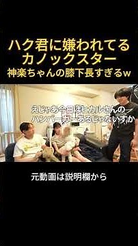 ハク君に嫌われてるカノックスターと膝下が長すぎる神楽ちゃん#ヒカル #加藤神楽 #カノックスター