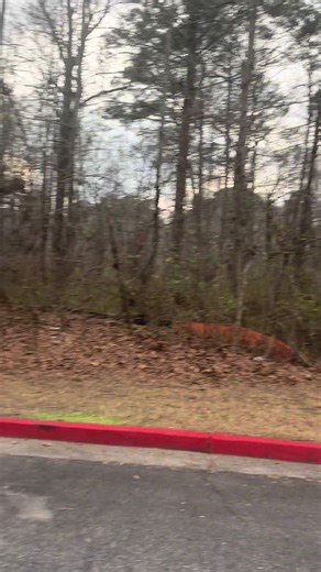 Exploring the New Diesel BMW Engine Innovations