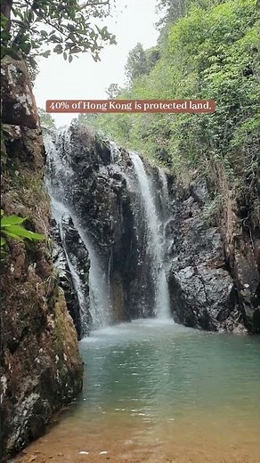Hong Kong is not what you think it is! 40% of it is protected country park & nature. #hongkonglife