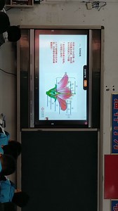 开花和结果，房华，河北省雄县第二中学，七年级生物