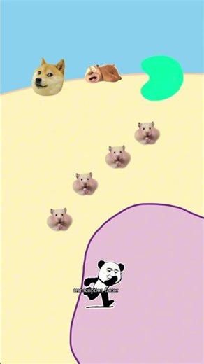 cAMP secondary messenger signal transduction pathway #apbio #apbiology #animation