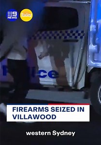 Items found in Villawood carpark car: gel blasters, knives, cannabis, plates