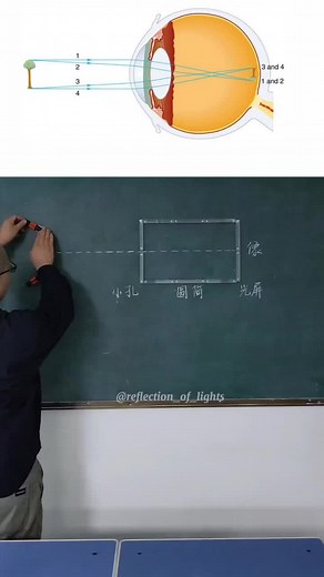 The practicalities of reverse reflection #shorts #short #reflection #s... | TikTok