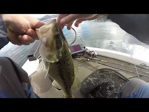 Lake Shasta Wild West Bass Trails Tournament