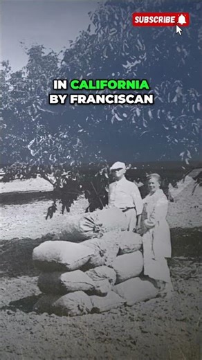California's Walnut Farming History - From Monks to Orchards