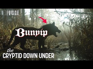 Paranormal Encounters With Australian Monster