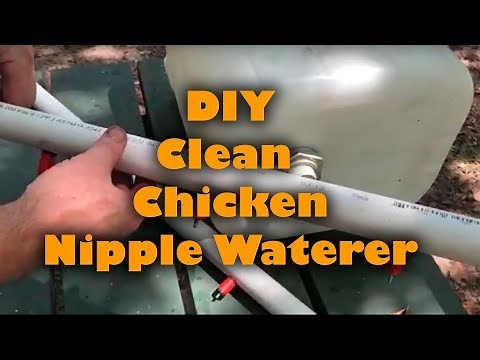 DIY Clean Chicken Nipple Waterer