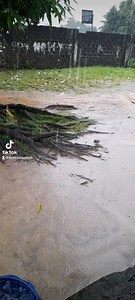 19K views · 777 reactions | Rainy season Drama   | Dennise Quenah | Facebook