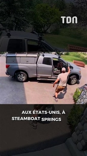 Il découvre un ours installé sur le siège avant de sa voiture