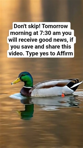 Type yes to affirm ❤️🌟🧿🍀#affrimations #manifestation #lawofattraction