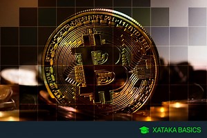 Modelos para declarar tu saldo de criptomonedas: cuáles son, quién tiene que presentarlos y qué información aportar