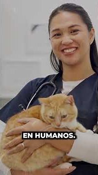 Así se clasifican los Riesgos Biológicos
