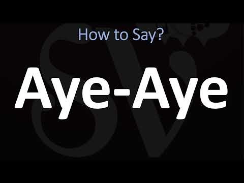 How to Pronounce Aye-Aye? (CORRECTLY)