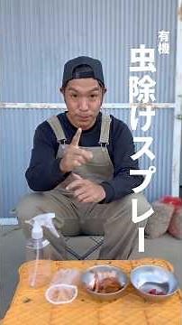 🧅玉ねぎの皮＋🌶唐辛子で作れる！安心・安全な天然虫除けスプレーの作り方🌱初心者でも簡単✨子どもや環境にやさしい農業へ👩🏻‍🌾#有機栽培 #家庭菜園 #ぷりん農園