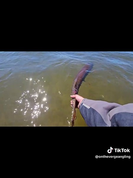 Cree Lake Monster: The Biggest Fish Caught This Season