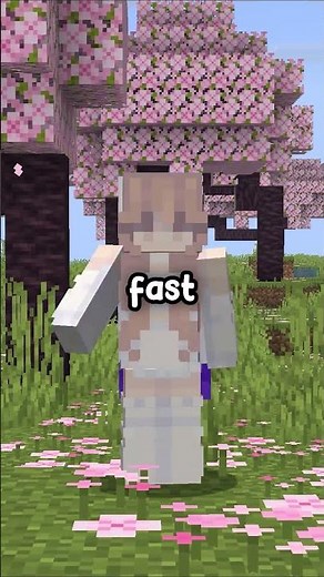 Hidden Minecraft Features That Actually Exist...