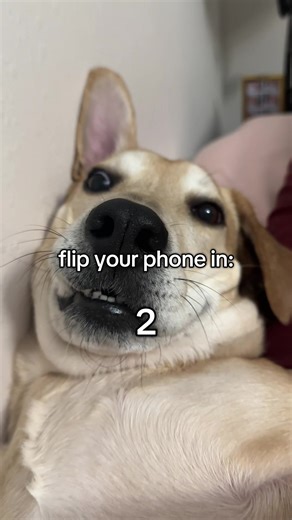 Overcoming Hesitation: A Heartfelt Challenge